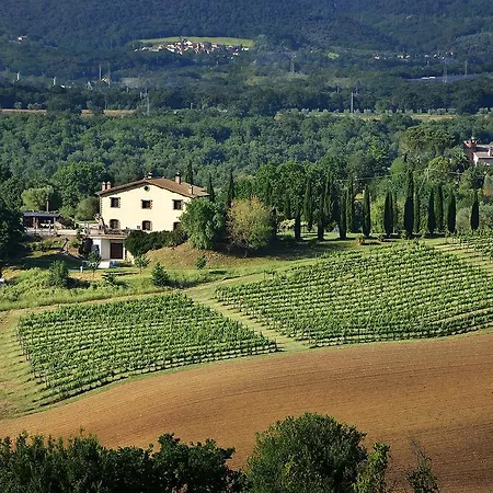 Il Collicello Gospodarstwo agroturystyczne