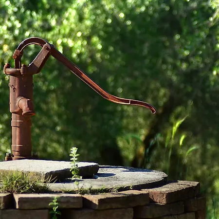 Il Collicello Gospodarstwo agroturystyczne