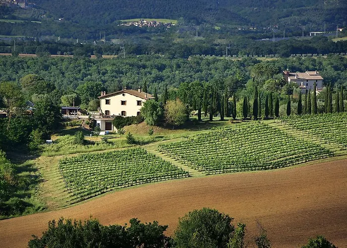 Il Collicello Feriegård